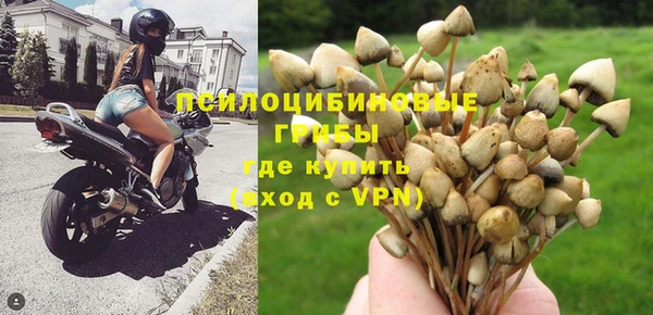первитин Богородицк