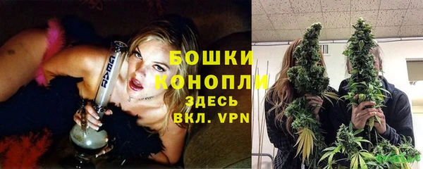 ешки Новозыбков