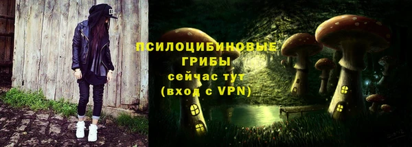 первитин Богородицк