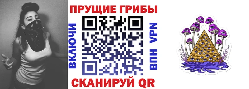 наркошоп  Нурлат  Псилоцибиновые грибы ЛСД 